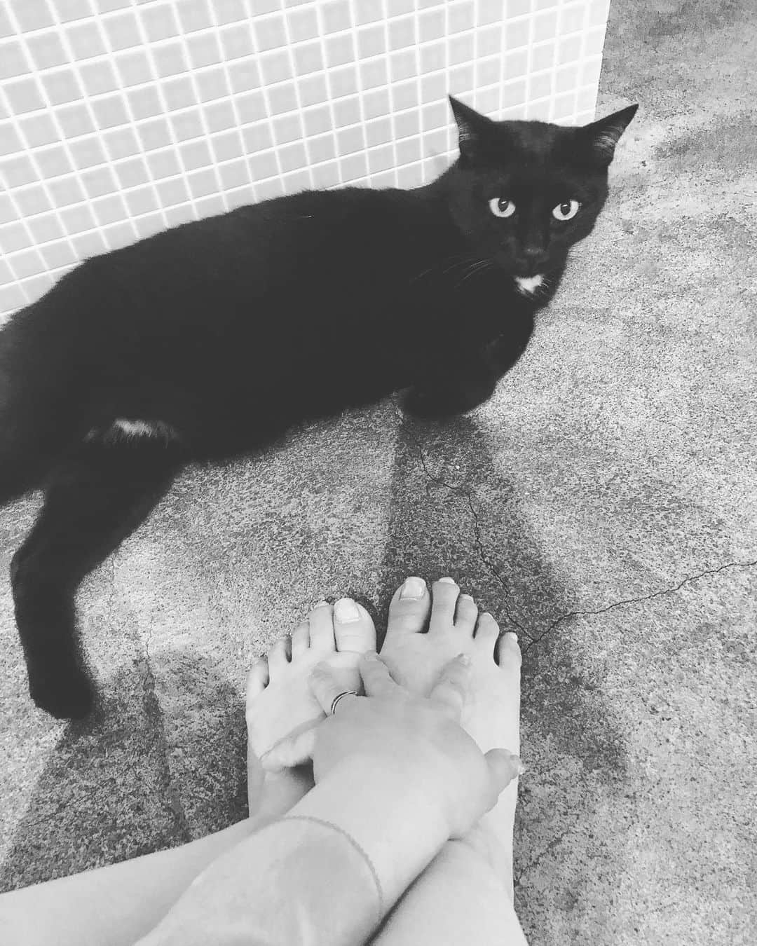 北岡りえのインスタグラム：「仕事終わりのストレッチ。ちゃんと出来てるか見張ってくれてるノワール👀  いつも凄い近くから真顔でみてくるのちょっと恥ずかしいん🙈  #stayhome」
