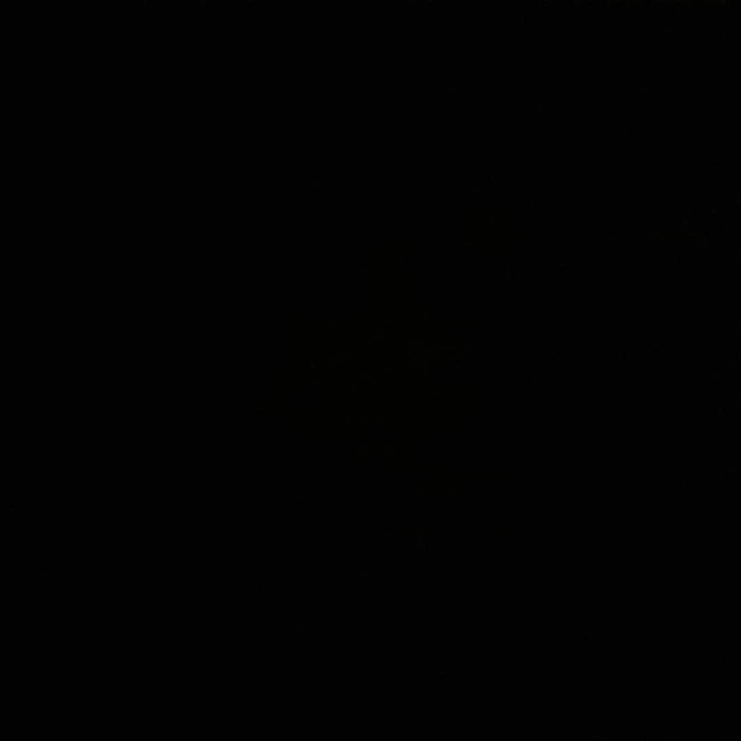 フェデリコ・ベルナルデスキのインスタグラム：「#BlackOutTuesday」
