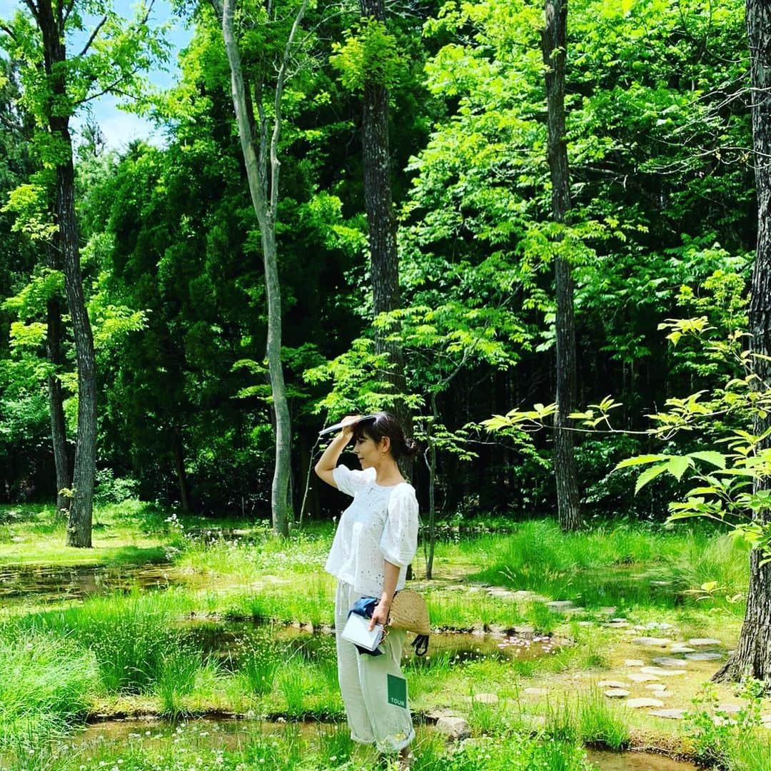akikoさんのインスタグラム写真 - (akikoInstagram)「#watergarden #水庭 #artbiotop」6月2日 20時20分 - akikojazz
