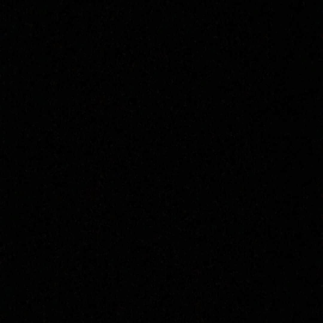 ヤン・フェルトンゲンのインスタグラム
