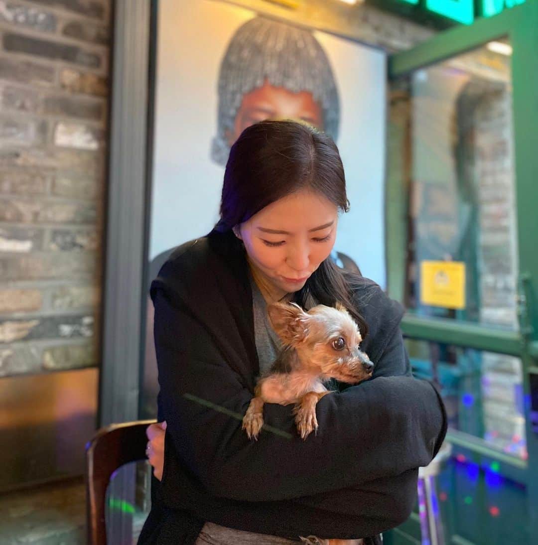 ユンチェヨンさんのインスタグラム写真 - (ユンチェヨンInstagram)「- 촬영끝나고 사랑이랑 외출. 귀 쫑긋 ! 우리 따랑이 신나쪄요 🐶아프지마 울 사랑이 ❤️」6月2日 20時34分 - cyyoon35