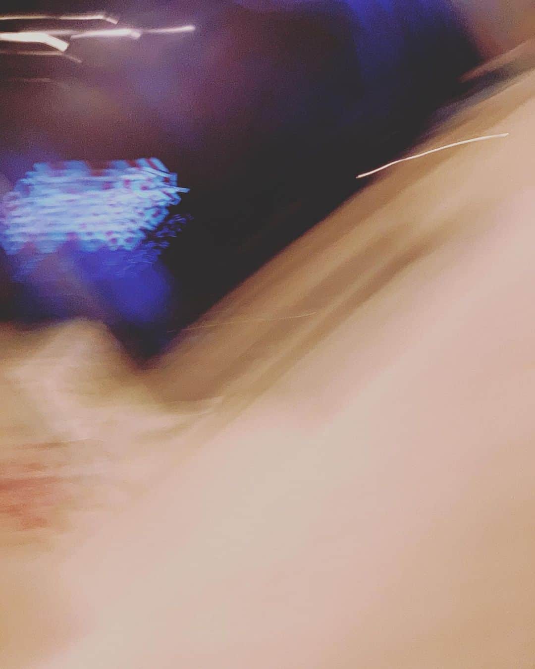 のインスタグラム：「とろろ君が僕の携帯で自撮りしようとしたらしいです。笑 ある意味芸術🖼👏 * #ポメラニアン #石川雄洋」