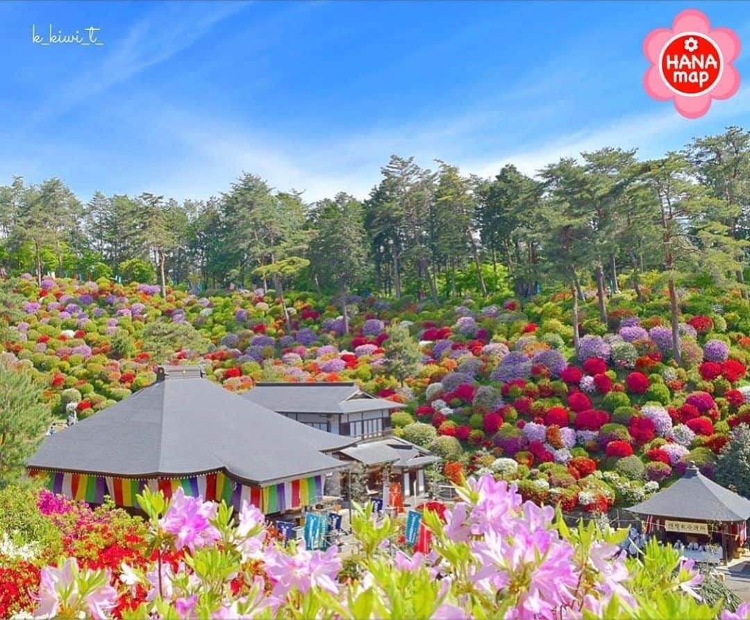 はなまっぷ❁日本の花風景のグルメインスタ