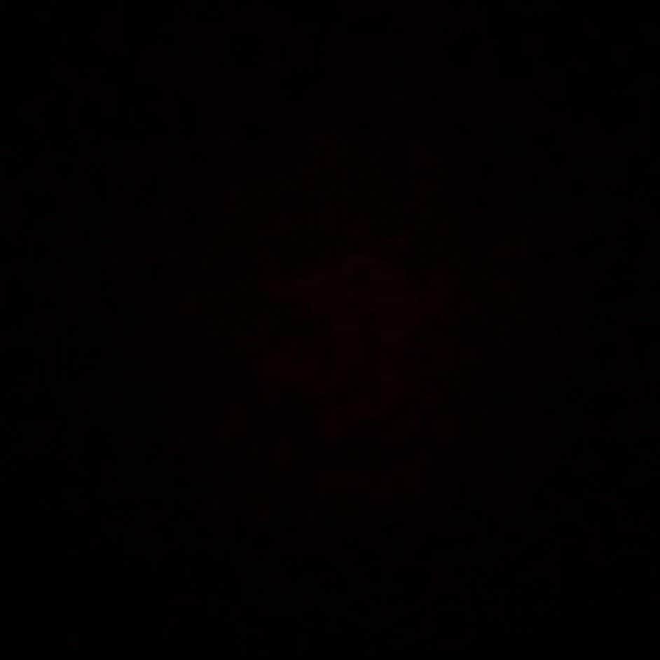 マールテン・ステケレンブルフさんのインスタグラム写真 - (マールテン・ステケレンブルフInstagram)「✊🏻✊🏼✊🏽✊🏾✊🏿 #BlackOutTuesday」6月2日 20時56分 - maartenstekelenburg