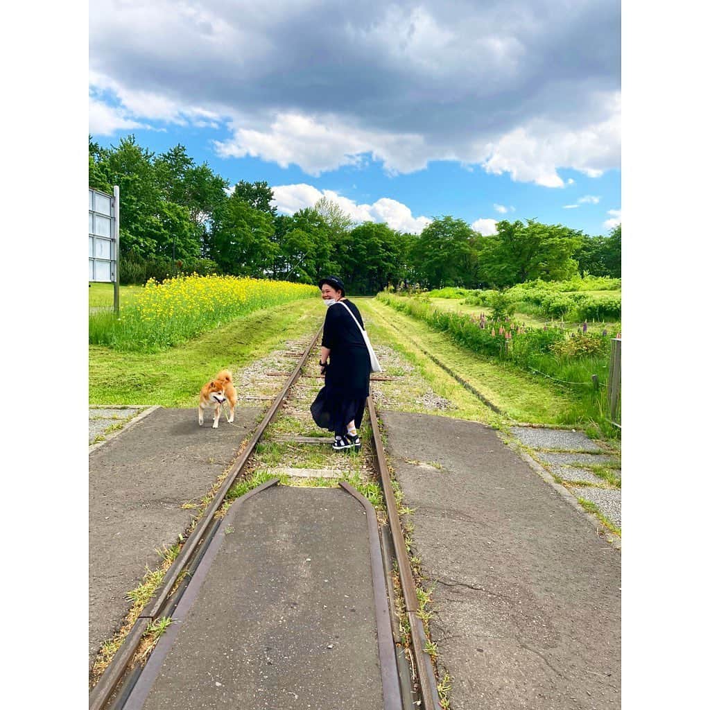 林唯衣さんのインスタグラム写真 - (林唯衣Instagram)「リリートレインという鉄道が公園内に走っているおかげで、スタンドバイミー気分が味わえる写真が撮れる百合が原公園、ゆっくりきたの初めてかも！　#こたろーはいくちゃんの愛犬です」6月2日 20時59分 - yui__hayashi