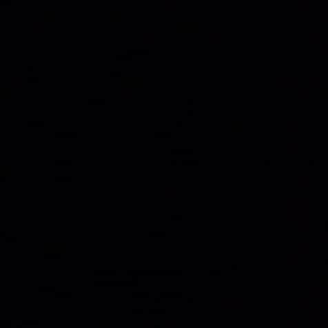 ジネディーヌ・ジダンさんのインスタグラム写真 - (ジネディーヌ・ジダンInstagram)「🖤」6月2日 21時01分 - zidane