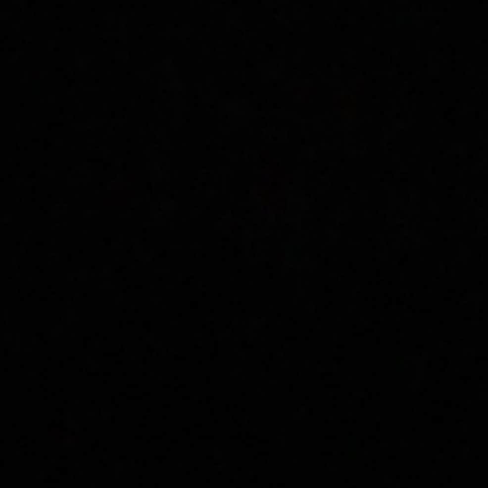 Pleun Bierboomsさんのインスタグラム写真 - (Pleun BierboomsInstagram)「#blackouttuesday 🖤」6月2日 21時17分 - theofficialplume