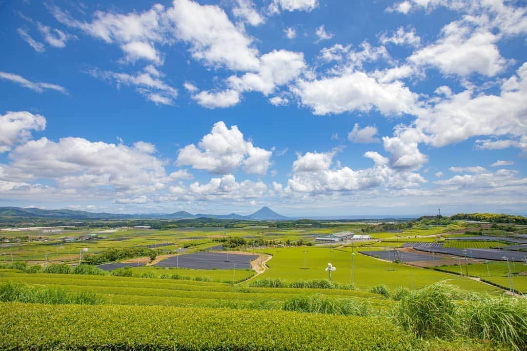 鹿児島よかもん再発見のインスタグラム