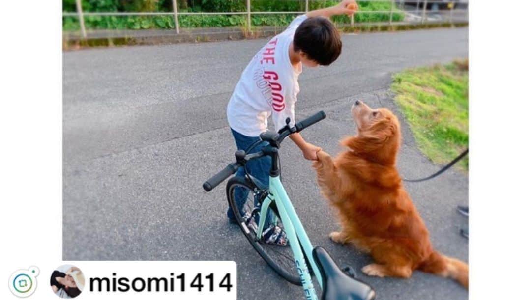 GLAZOSのインスタグラム：「#repost . @misomi1414 様 ありがとうございます😆✨🐶✨ . . お散歩🐶  夕方は、義父と息子と私で😊 大好物のパンをもらうのを楽しみに歩いてる🐶です♡  息子の #glazos のTシャツ、オーバーサイズで着やすくてイロチ買い👍✨」