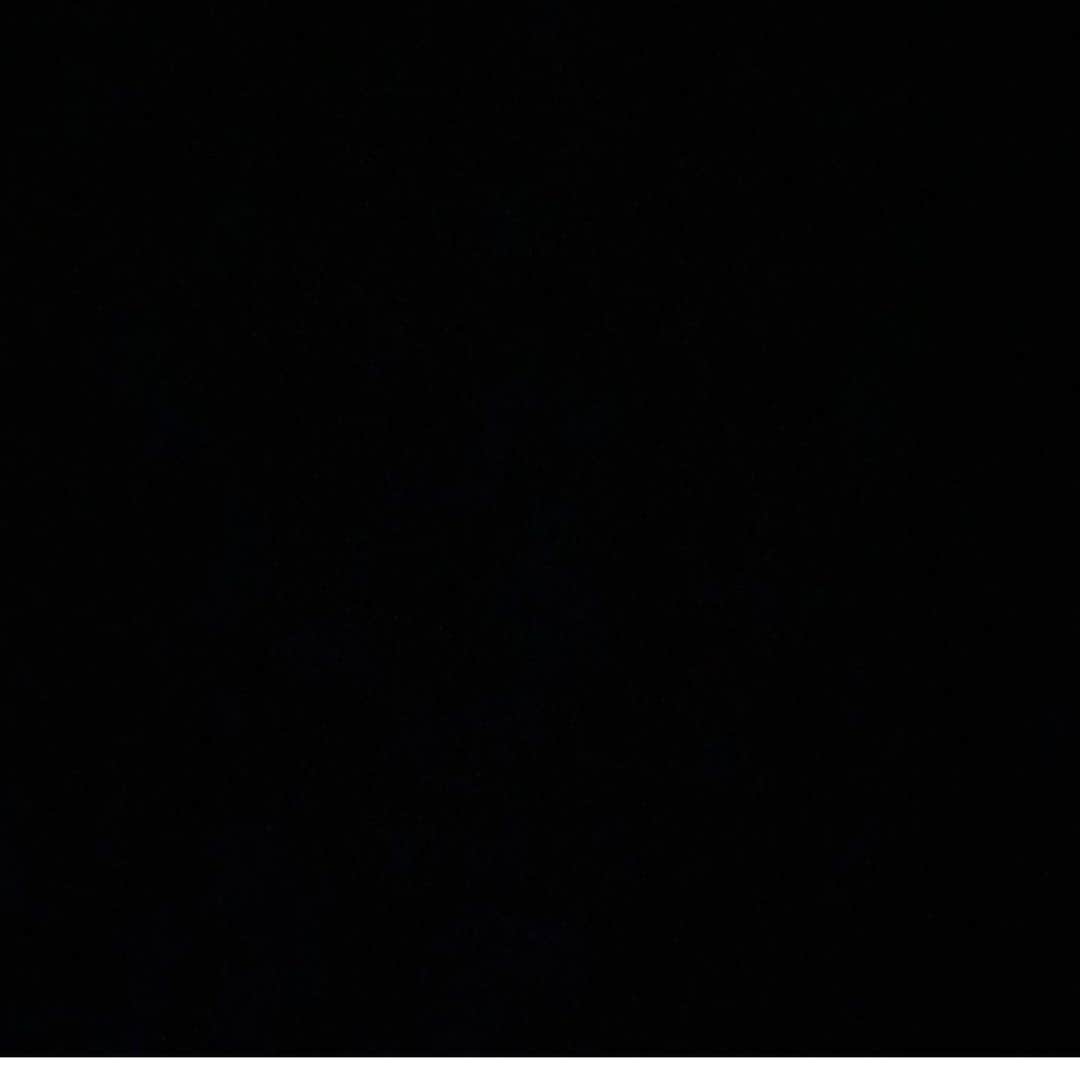 トリー・ウィルソンのインスタグラム：「#LoveNotHate #TheShowMustBePaused」
