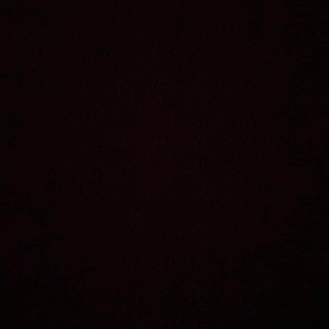 コリン・ドネルのインスタグラム：「SWIPE. Spend your day finding places to donate, finding places to call, text or email, read, petitions to sign. FOR MANY TODAY IS A DAY WHERE YOU MUST VOTE. The link in my bio is a good place to start. • https://blacklivesmatters.carrd.co • #blackouttuesday」