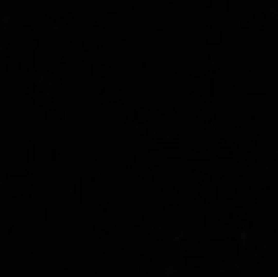 ニッキー・シックスさんのインスタグラム写真 - (ニッキー・シックスInstagram)「#blackouttuesday」6月2日 22時33分 - nikkisixxpixx