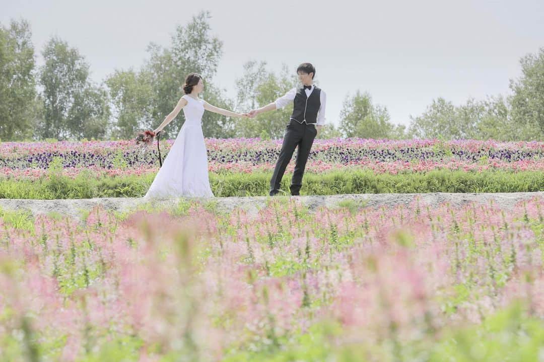 のインスタグラム：「ピンクのお花畑がなんともロマンチック🌸﻿ ﻿ ﻿ \\オンライン相談会はじめました//﻿ ご予約はプロフィール欄のホームページリンクから✨﻿ ﻿ 7月から9月の撮影予約も好評受付中です！﻿ ﻿ ﻿ ﻿ #パッチワークの丘  #STUDIOSOLA﻿ #スタジオソラ ﻿ @decollte_weddingphoto @decollte_weddingstyle @d_weddingphoto_jp﻿ #weddingphoto  #instagood #結婚式前撮り #新婚旅行 #チェリフォト #北海道旅行﻿ #富良野 #北海道前撮り#牧場 #ロケーションフォト #tokyo_camera_club #前撮り#東京カメラ部﻿ #weddingdress #prewedding #写真好きな人と繋がりたい #ひまわり畑  #ラベンダー  #ウエディングヘア﻿ #wedding #結婚写真 #前撮り #プレ花嫁#卒花嫁 #日本中のプレ花嫁さんと繋がりたい #結婚式﻿ #結婚式準備」