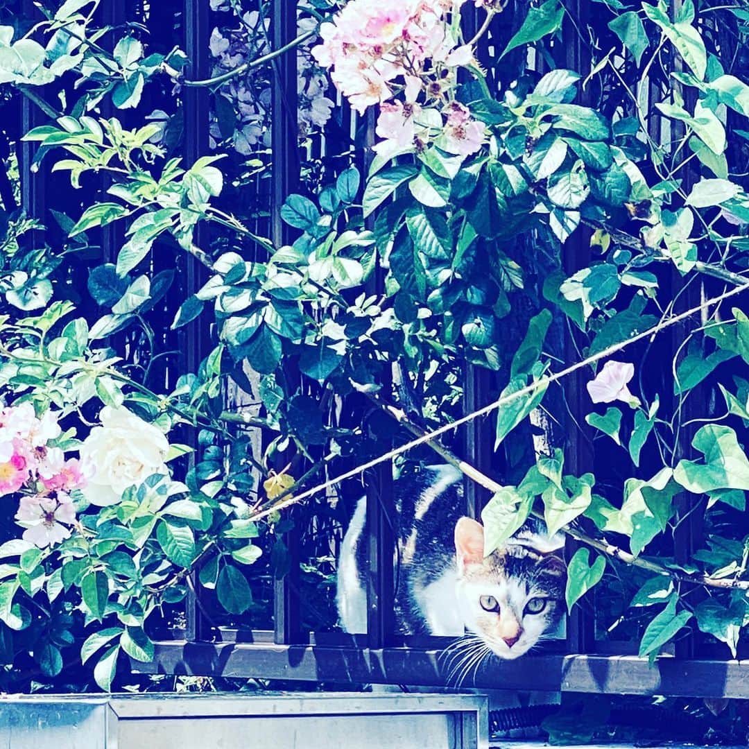 中野敬久のインスタグラム