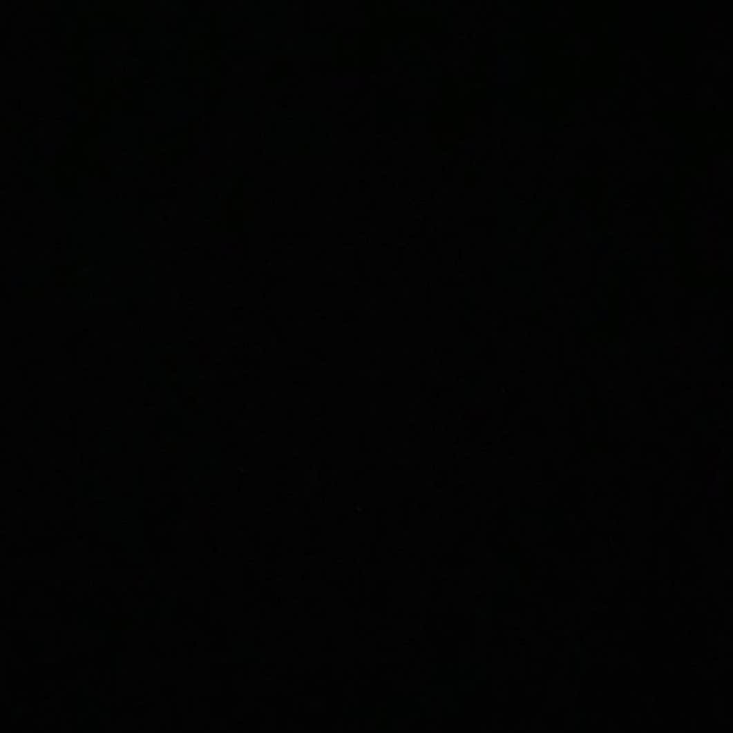 テレザ・カサロヴァさんのインスタグラム写真 - (テレザ・カサロヴァInstagram)「#blackouttuesday」6月3日 9時21分 - terezakacerova