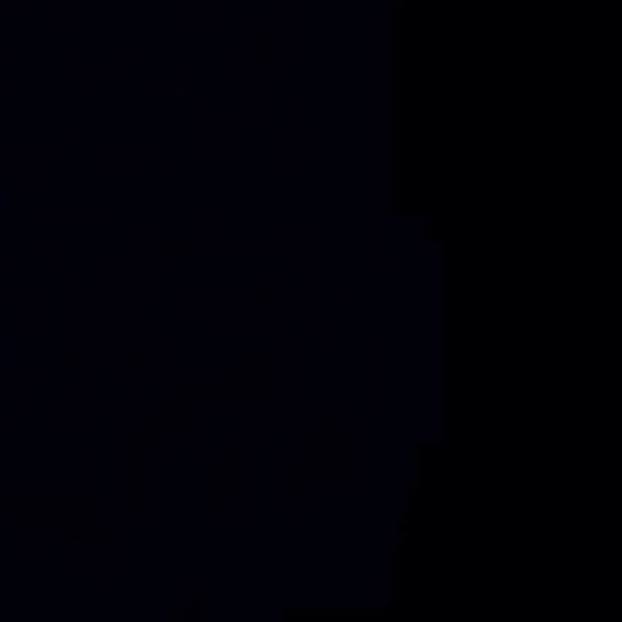 システィーン・スタローンのインスタグラム：「#blackouttuesday」