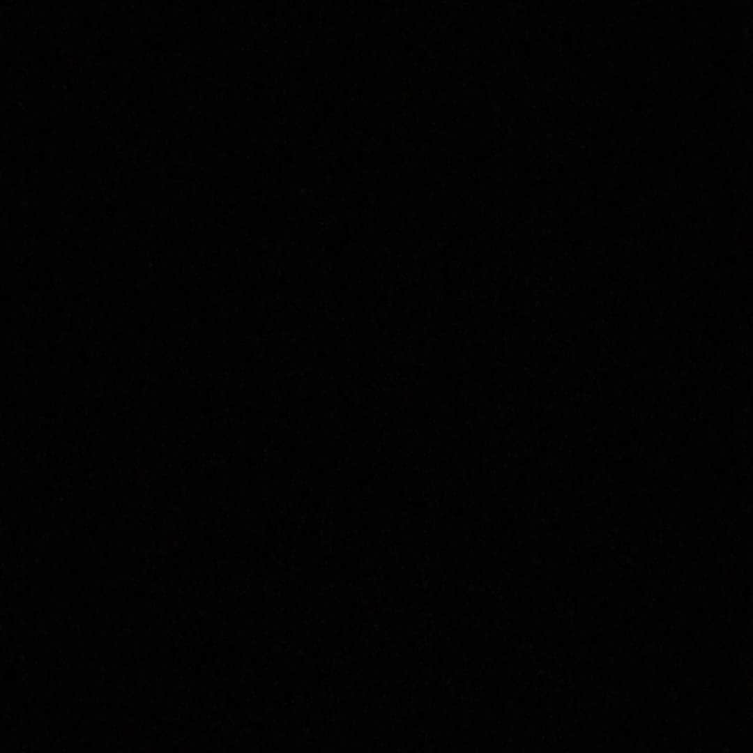 アレハンドラ・ジャネサさんのインスタグラム写真 - (アレハンドラ・ジャネサInstagram)「#blackouttuesday」6月3日 2時01分 - alellaneza