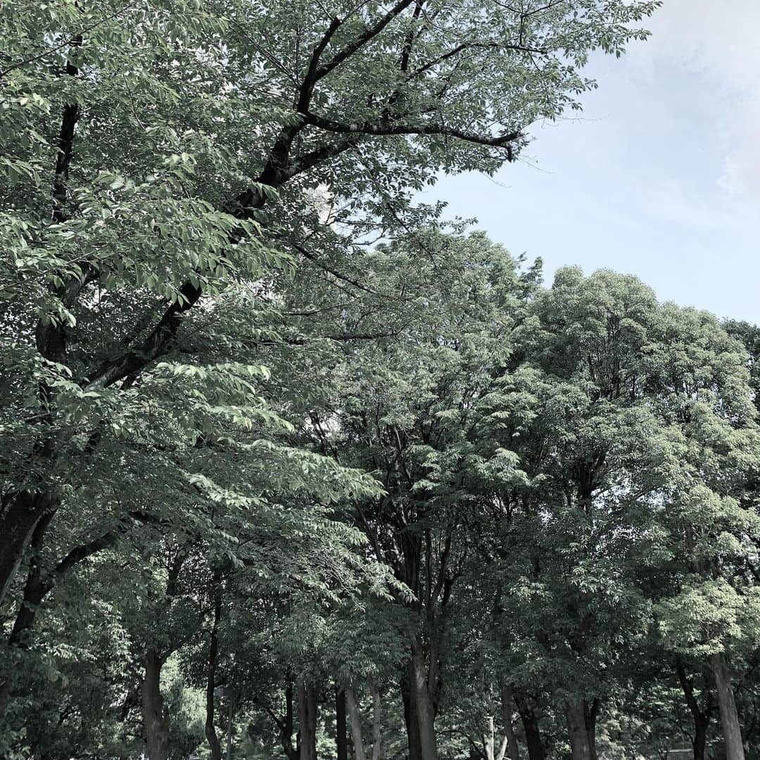 岸本佳子さんのインスタグラム写真 - (岸本佳子Instagram)「Life... #air #water #green #oxygen」6月3日 2時06分 - yoshico_kishimoto