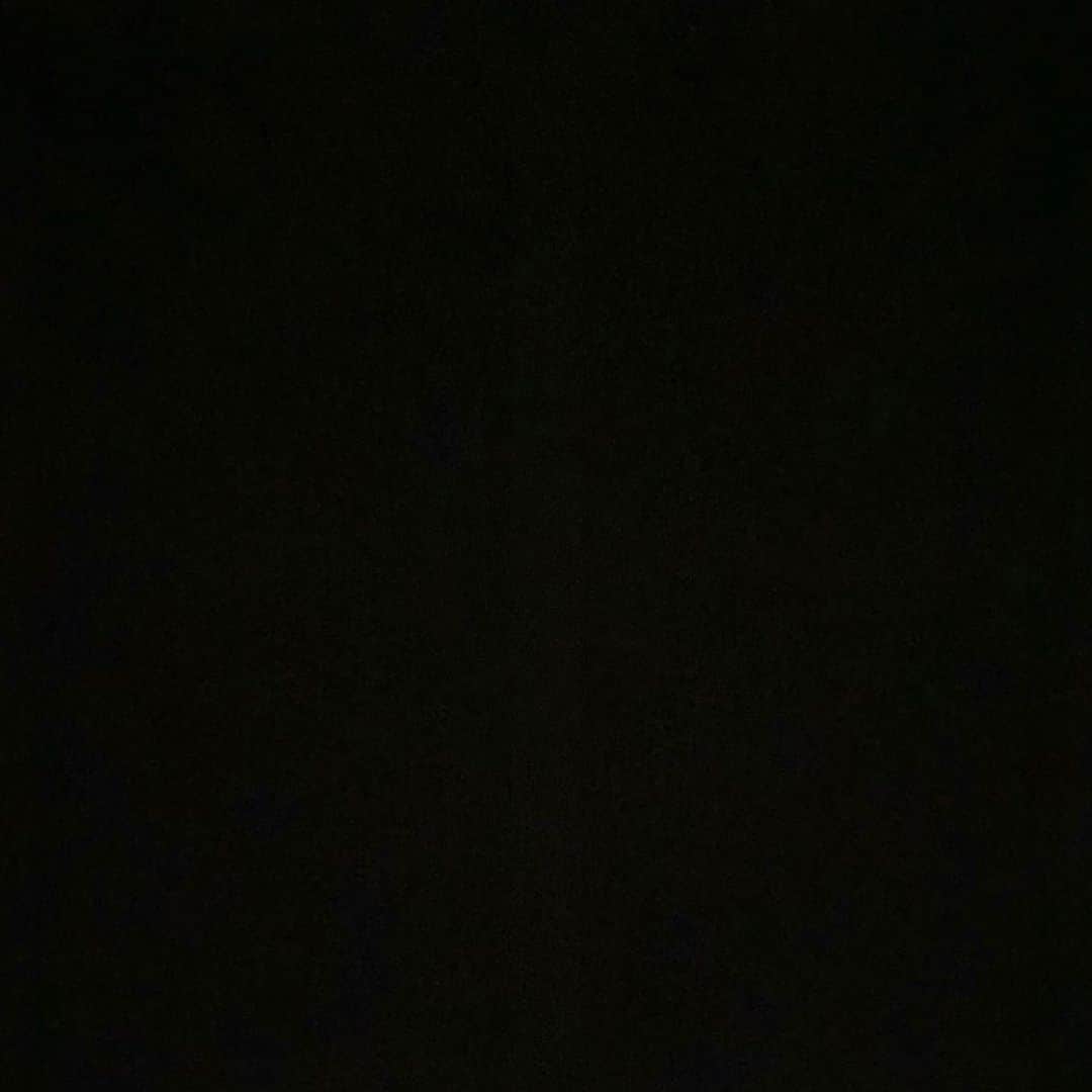 ノヴィスのインスタグラム