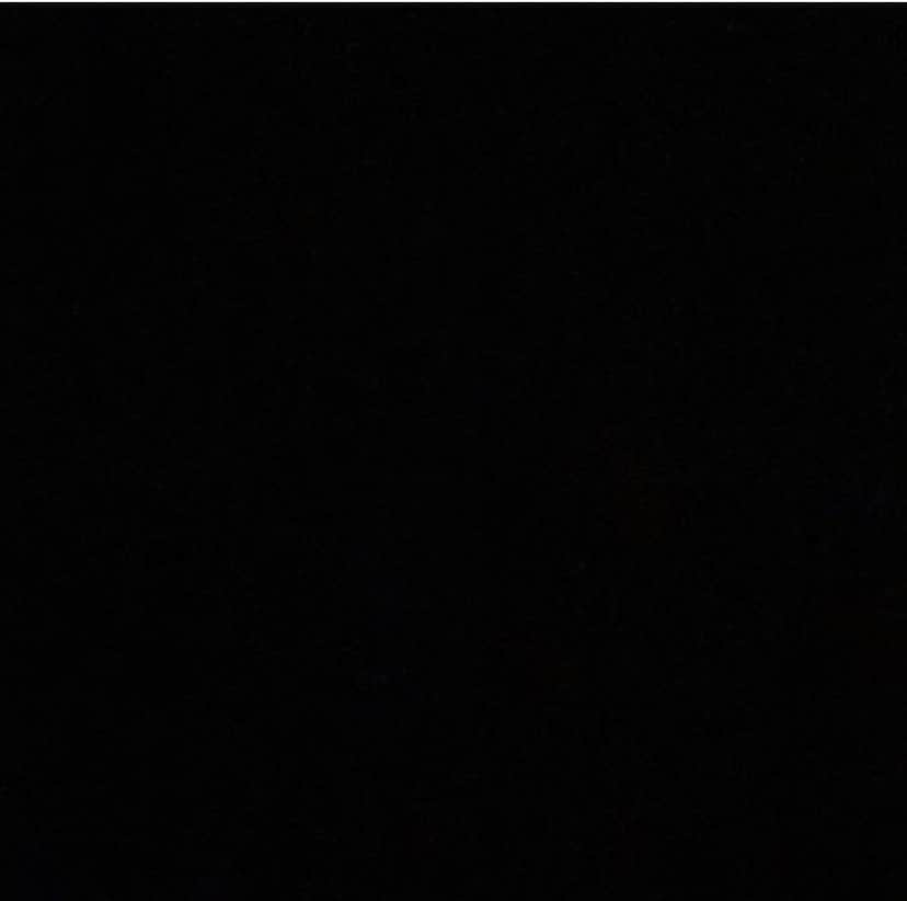 Luana Silvaさんのインスタグラム写真 - (Luana SilvaInstagram)「#blackouttuesday ✊🏼✊🏽✊🏾✊🏿❤️」6月3日 2時25分 - luanasilva__