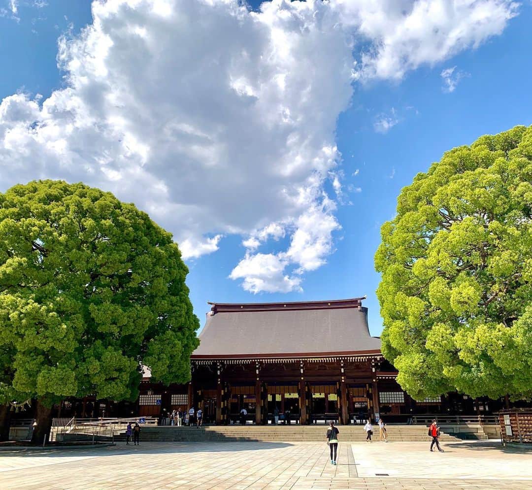 けらえいこのインスタグラム：「明治神宮の杜で小鳥が「特許許可局✨」と鳴いていて、あわててビデオで録音したけど、聞こえますでしょうか？（３枚目）  #ホトトギス #明治神宮鎮座百年祭」