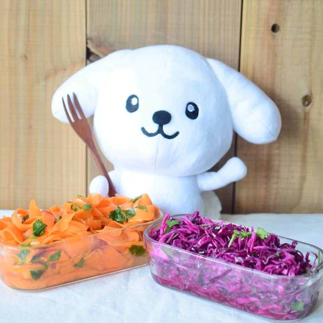 ダスキン ダス犬【公式】のインスタグラム：「【ダス犬とつくろ♪ヘルシー料理】 ・ あともう一品という時やサンドウィッチの具材にもピッタリ♪ ・ ・ ●紫キャベツと人参のラペ ※5〜6人分 紫キャベツ、人参各300g 塩各小さじ1と1/2 レモン汁各大さじ3 にんにく各小1片 オリーブオイル各大さじ1と1/2 イタリアンパセリ各15g ・ ・ 1.紫キャベツ、人参を細い千切りにし、それぞれボウルに入れる。人参はピーラーやスライサーでリボン状にするのもおすすめ。 2.全ての調味料にすりおろしたにんにくを加えてよく和える。  3.イタリアンパセリは1cmくらいの幅にカットし、混ぜ合わせる。 . ＊MEMO＊ 一晩以上おくと、味が馴染んで美味しくなります。レモン汁がない場合はお酢でもOK 常備菜にもなるので、毎日の サラダに トッピングしたりすると華やかになります。  レシピ監修 @iina_veganfoodcreator」