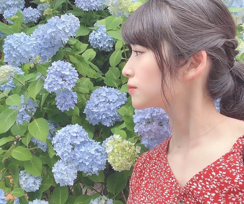 仙石みなみのインスタグラム：「. 💠 6月ですねーー☔︎ あっついですね！ . #june #紫陽花 #flower #coffee #love」