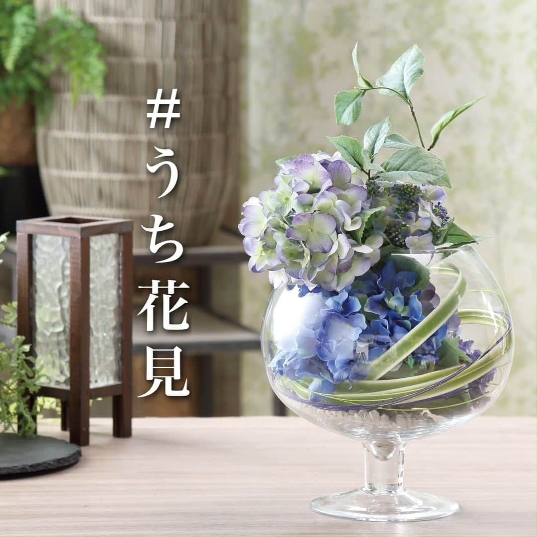東京堂アーティフィシャルフラワーMAGIQのインスタグラム：「・ 【アーティフィシャルで季節を迎える】 💠💠自宅で桜を飾って楽しむ！💠 〜 【　#うち花見　】〜のススメ ・ 今年も　#あじさい　を楽しむ季節がやってきました。 ・ しばらくは雨の季節が続きますが あじさいを眺めながら、おうち時間を楽しんでみてはいかがでしょう。 ・ #TOKYODO　#MAGIQ　#MAGIQのある暮らし　#東京堂　#アーティフィシャルフラワー　#アーティフィシャル　#アートフラワー　#造花　#花のある暮らし　#花のある生活 #フラワーデザイン　#フラワーアレンジメント　#フラワーアレンジ　#アレンジメント　#花を飾る #インテリア　#インテリアフラワー #おうち時間　#こんな時こそ花を　#artificial　#artificialflower #flowerofinstagram #flowersoninstagram　#hydrangea」