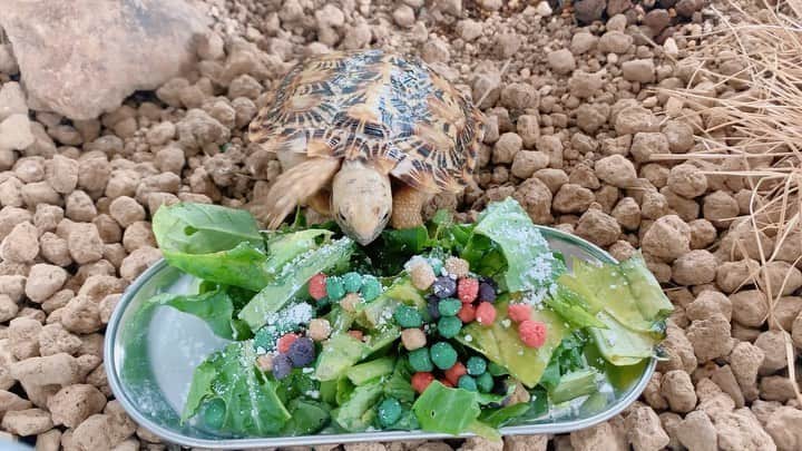 高松雪乃のインスタグラム