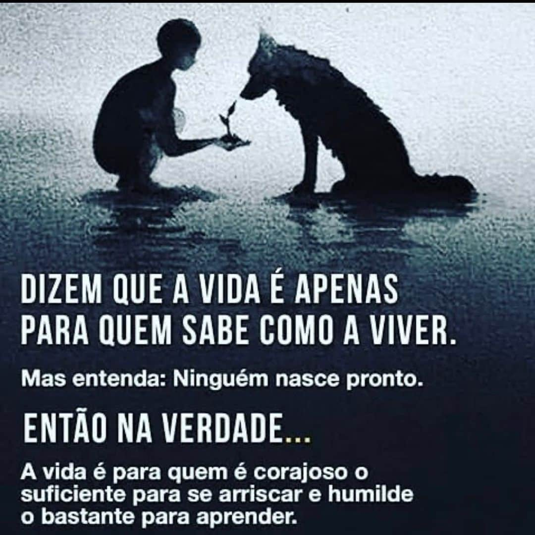 チアゴ・ペレイラさんのインスタグラム写真 - (チアゴ・ペレイラInstagram)「Bom dia! O que vocês acham? #vaithiago #bomdia」6月3日 17時59分 - thiagopereira