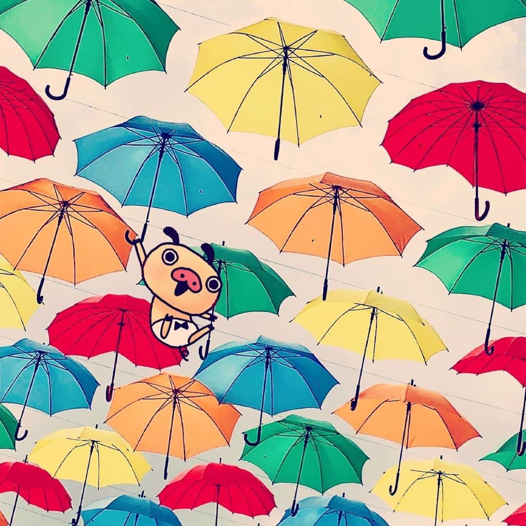 パンパカパンツ公式のインスタグラム
