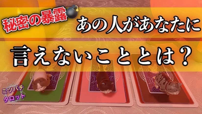ミツバチ✴︎タロットのインスタグラム：「✳︎ YouTube最新動画 ✳︎ テーマ👉【あの人があなたに言えないこと】  YouTubeの最新動画をアップいたしました😊  あの人があなたに 言えない！秘密にしたい！ と思っていることについて リーディングさせていただきました🌟  プロフィールに記載しておりますURLより 是非ご視聴くださいませ🐝🌸 少しでも皆様の 参考になりますと幸いです🍀  #YouTube #タロット占い #動画 #カードリーディング #恋愛タロット #当たる占い #スピリチュアル」
