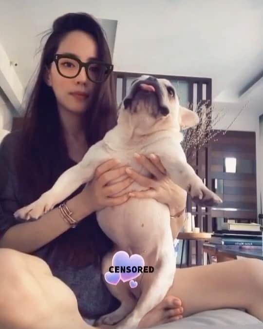 アリッサのインスタグラム：「low-key child abuse... 🙆🏻‍♀️💋😿 // we woke up from an afternoon nap like this— #confuzed. #awissadogz x」