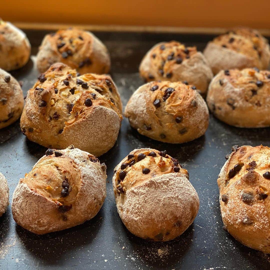 魔女菅原のグルメインスタ