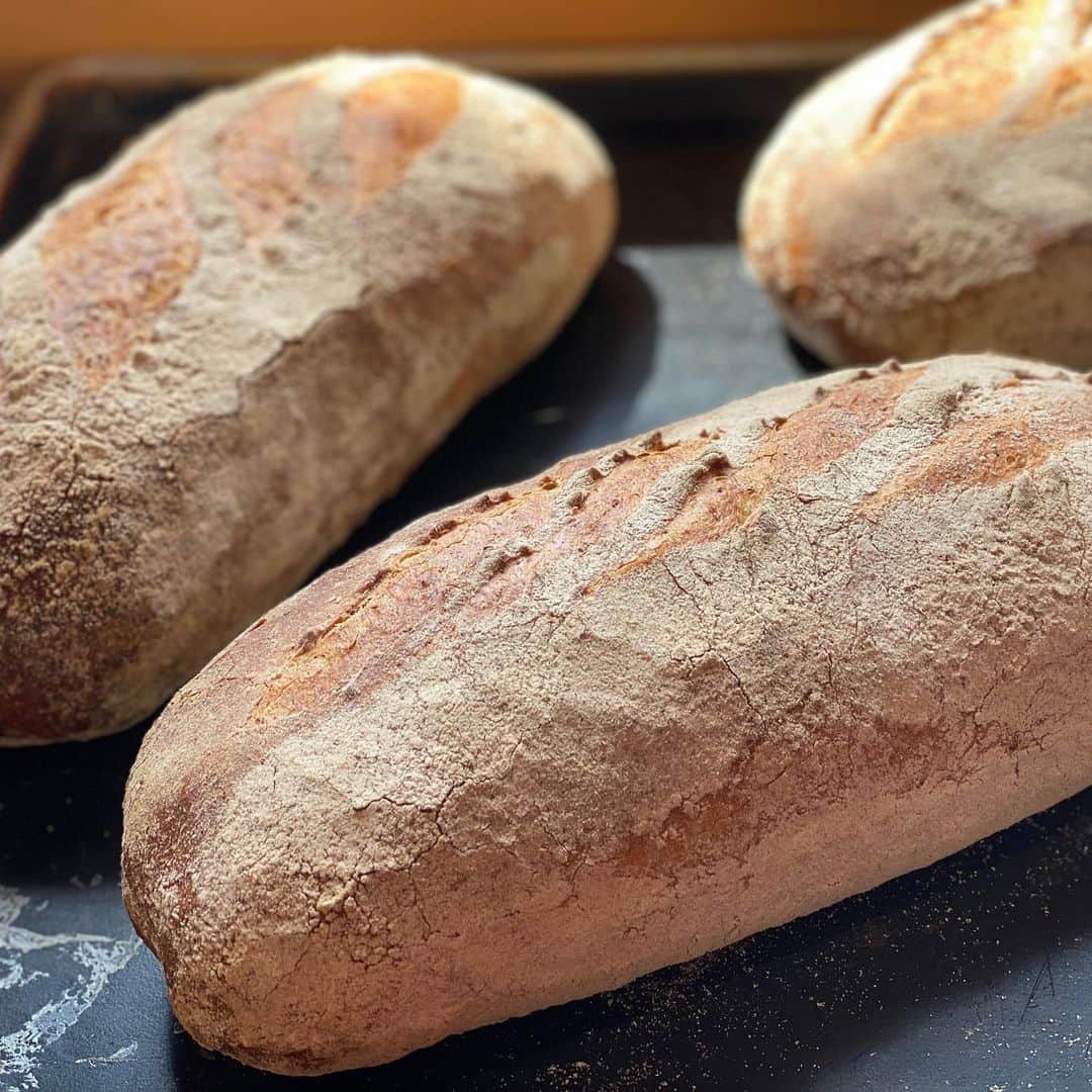 魔女菅原のグルメインスタ