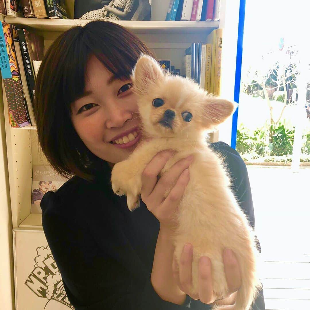のインスタグラム：「1年前の、  @piiinostagram との写真☆  吉祥寺にある @lightupcoffee さんは ワンちゃんも一緒に入れます♩  アットホームな雰囲気と 開放的な店内が魅力的✨  都内でもペット可のカフェは 思ったよりも少なくて、  いつもお昼ご飯どうしよ〜。 どこで食べよう〜って歩き回ることもしばしば。 : : 安心してお出かけできるようになったら、 リサーチも兼ねて ピノと犬カフェ巡りをする予定⭐️ : : ワンちゃんも一緒に入れる おすすめのカフェを見つけたら どんどんシェアしていきますね♩ : : #ピノ #ペキチワ #チワペキ  #ペット可 #ワンちゃん #わんこ  #犬カフェ #テラス席 #ドッグカフェ  #犬  #犬好きな人と繋がりたい  #dog #dogsofinstagram」