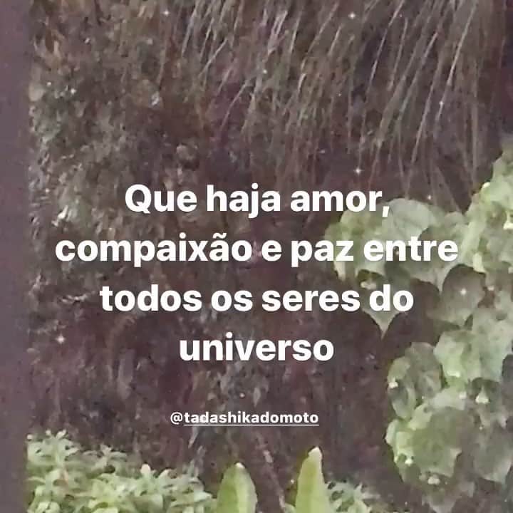 Eliana Michaelichin Bezerraのインスタグラム：「Vibre amor, compaixão e paz para vc, para as pessoas que ama, para todo o universo 🙏🏻 #vaificartudobem #amor #compaixão #paz #universo #gratidao」