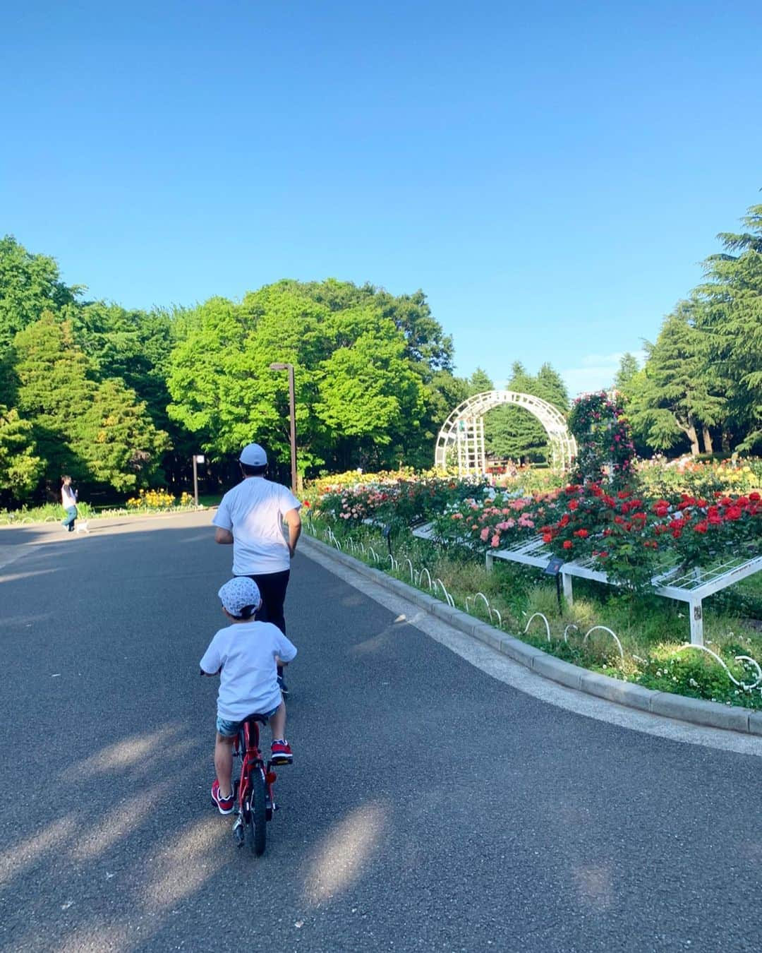 杉山愛さんのインスタグラム写真 - (杉山愛Instagram)「ちょっと前のAFTERNOON☀️ 身体を動かしに公園へ😊👍 動かし始めるまでが大変で大変で💦 重い腰がなかなか上がらないんだけど😅 主人のプッシュでやっとこさ🤪 🚴‍♀️自転車🚴‍♀️で並走しました🚴‍♀️ 代々木公園は色々な種類のお花が綺麗に咲いていたよ🌼💐🌼💐🌼 私はやっぱり🌹薔薇🌹が好き」6月3日 18時56分 - aisugiyamaofficial