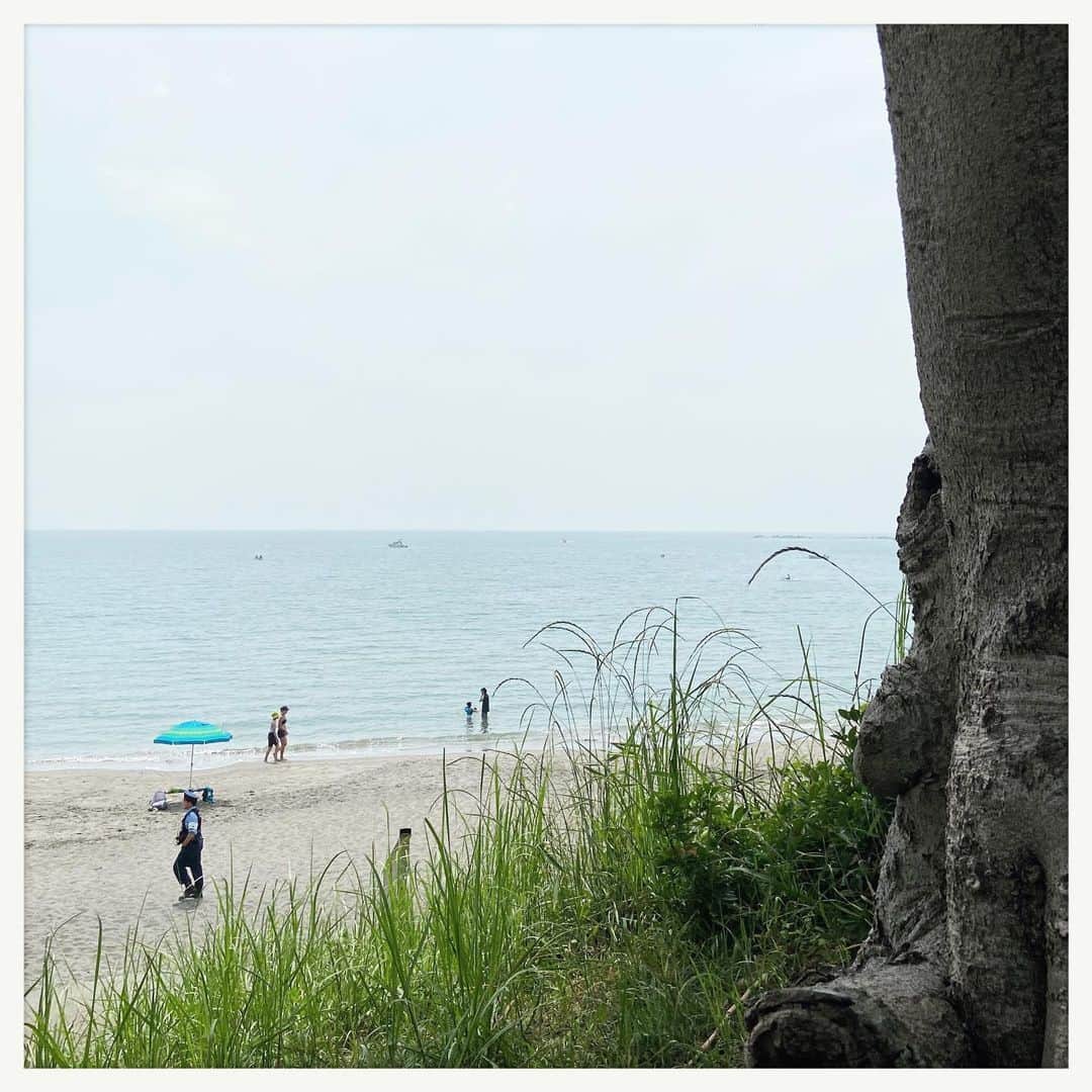 kumikoさんのインスタグラム写真 - (kumikoInstagram)「今年の夏は海の家はお預け。 吉とでるか凶とでるか…」6月3日 13時44分 - makudeco