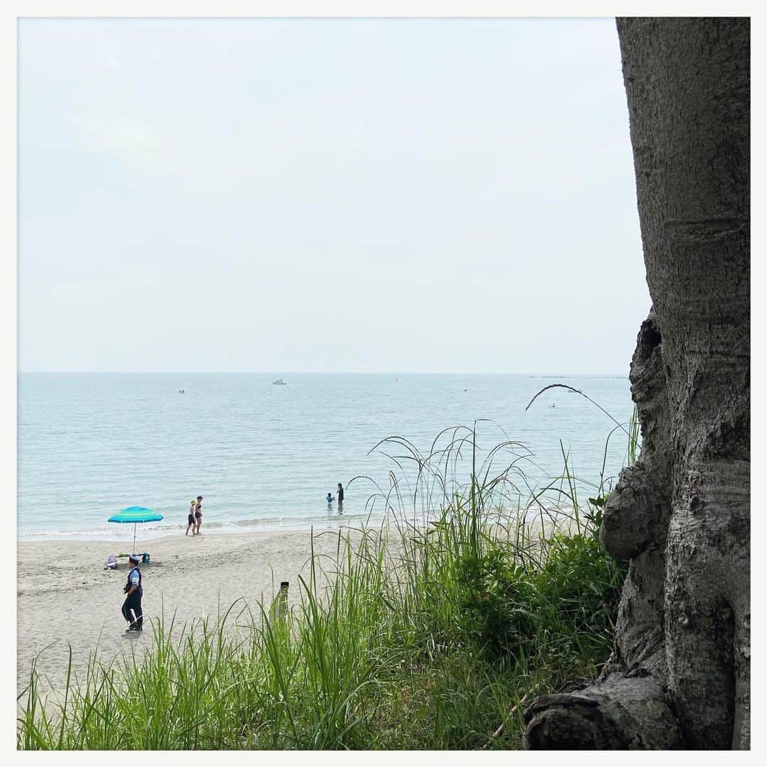 のインスタグラム：「今年の夏は海の家はお預け。 吉とでるか凶とでるか…」