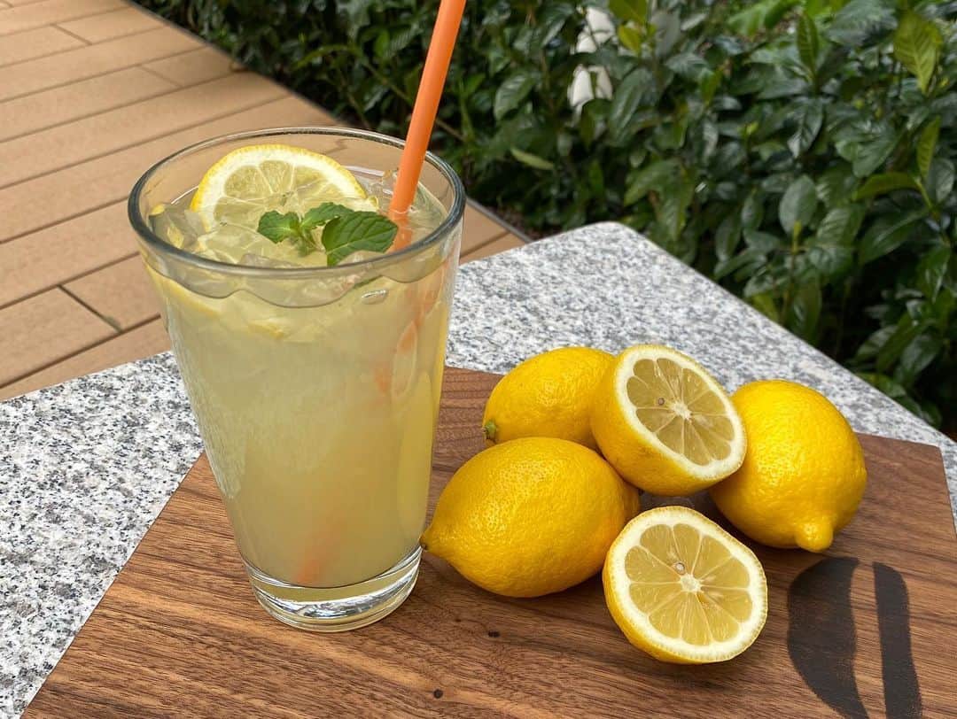 umamiburgerjpnのグルメインスタ