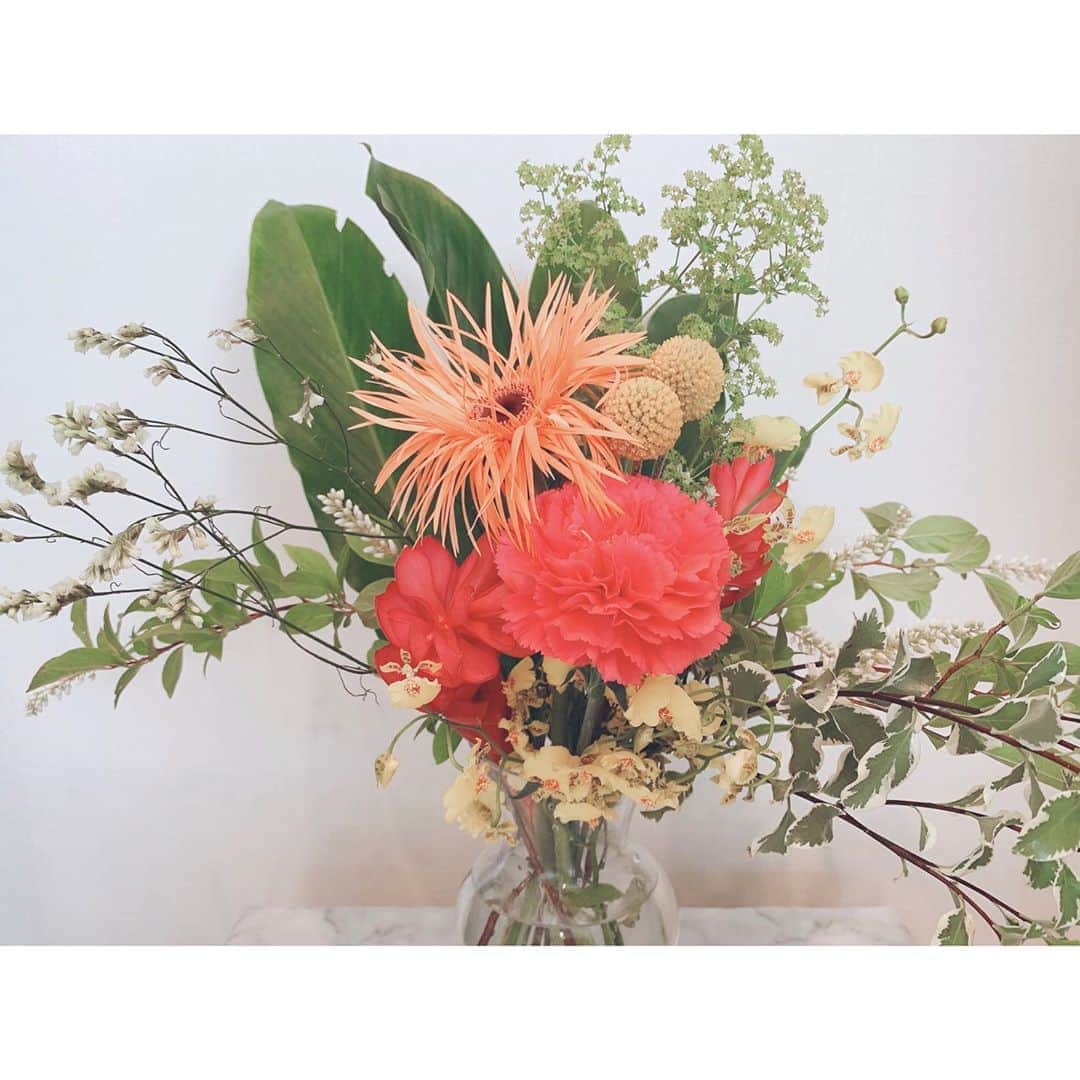 戸田れいさんのインスタグラム写真 - (戸田れいInstagram)「🌼💠🌿 ・ ・ ・ 今月も可愛いお花が届きました☺️ 色々ある世の中ですが…花でも見て癒されてください🌷 ・ @hitohana_tokyo  #花のある暮らし」6月3日 14時51分 - rei_toda