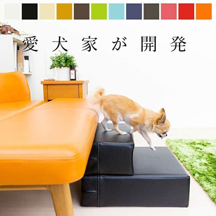 TEES FACTORY（ティーズ）のインスタグラム：「. . 安心安全に徹底的にこだわった ドッグステップ「CHITO」  ティーズSTAFFには愛犬家がかなり多くて。 その愛犬家たちが「自分の愛犬に 使わせるならどんなモノがいいのか？」 .  それを考え尽くして開発されたのが このCHITO。  材料も製造も完全日本製で 特に生地(PVCレザー)には 多くの機能が盛り込まれ とにかく安心安全に特化させてみました。  もちろんその他にも細かいコダワリが 詰まっています。  おかげさまで楽天ランキング1位を 何度も獲得。  愛犬へのプレゼントとして とてもいいモノができたんじゃないかな？ と思っています。  ドッグステップ「CHITO」 https://item.rakuten.co.jp/tees-factory/chito_bj/ . #TEESFACTORY #ティーズファクトリー #ティーズ #ドッグステップ #CHITO #チト #愛犬 #犬用品 #犬用階段 #犬用ステップ #犬のいる暮らし #犬のいる生活 #犬との暮らし #チワワ #愛犬との暮らし #愛犬のいる生活 #犬は家族 #犬 #dog #doglover #doglife」