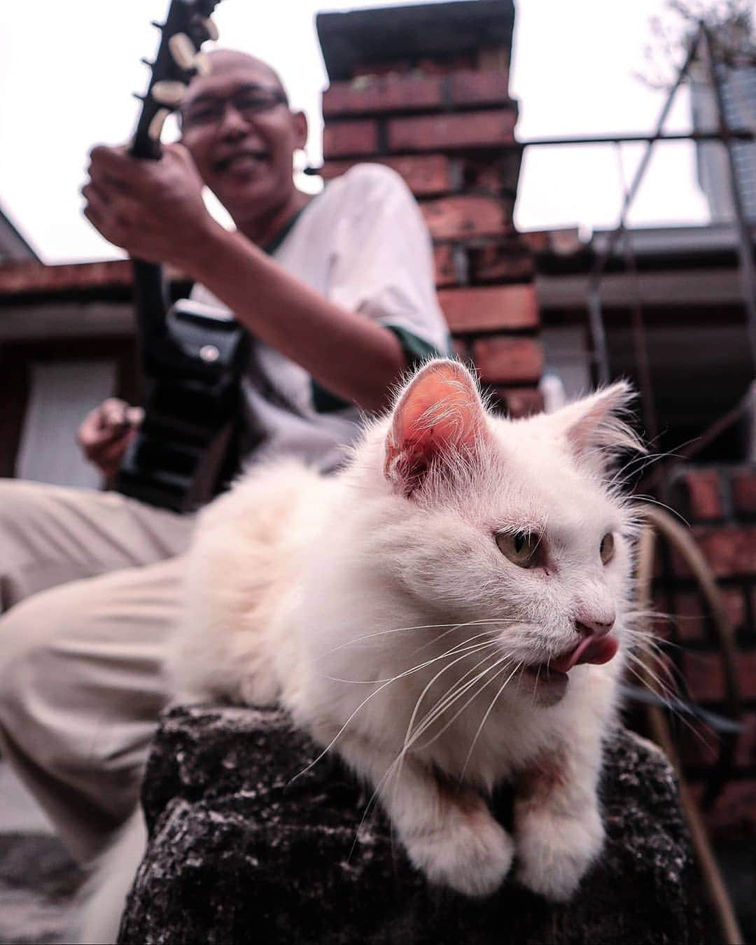 Canon Asiaのインスタグラム：「'Life's companion can come in all sizes, shapes and forms. A guitar, a pet 🐈 (fur parents can relate!), or even a trusty ol' camera.' What's yours? . 📷 Images by @haoyee_ shot using the Canon M50 | EF-M15-45mm f/3.5-6.3 IS STM | f/3.5 | 1/100s | 15mm  Image 1 & 4 | ISO 200 Image 2 & 3 | ISO 160 . Want your photos to be featured too? Tag them with #canonasia or submit them on My Canon Story, link in bio! . #canonasia #photography #explore #pets #companion #cats #furparents #furkids #colours #canon #composition #lens #inspiration #malaysia #kampongbaru」