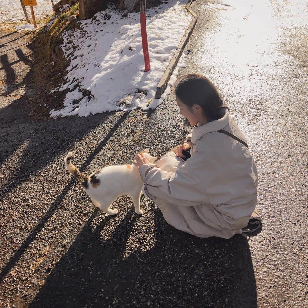 ソン・ファミンさんのインスタグラム写真 - (ソン・ファミンInstagram)「애교 많았던 스위스 고먐미😺」5月11日 0時47分 - hwa.min