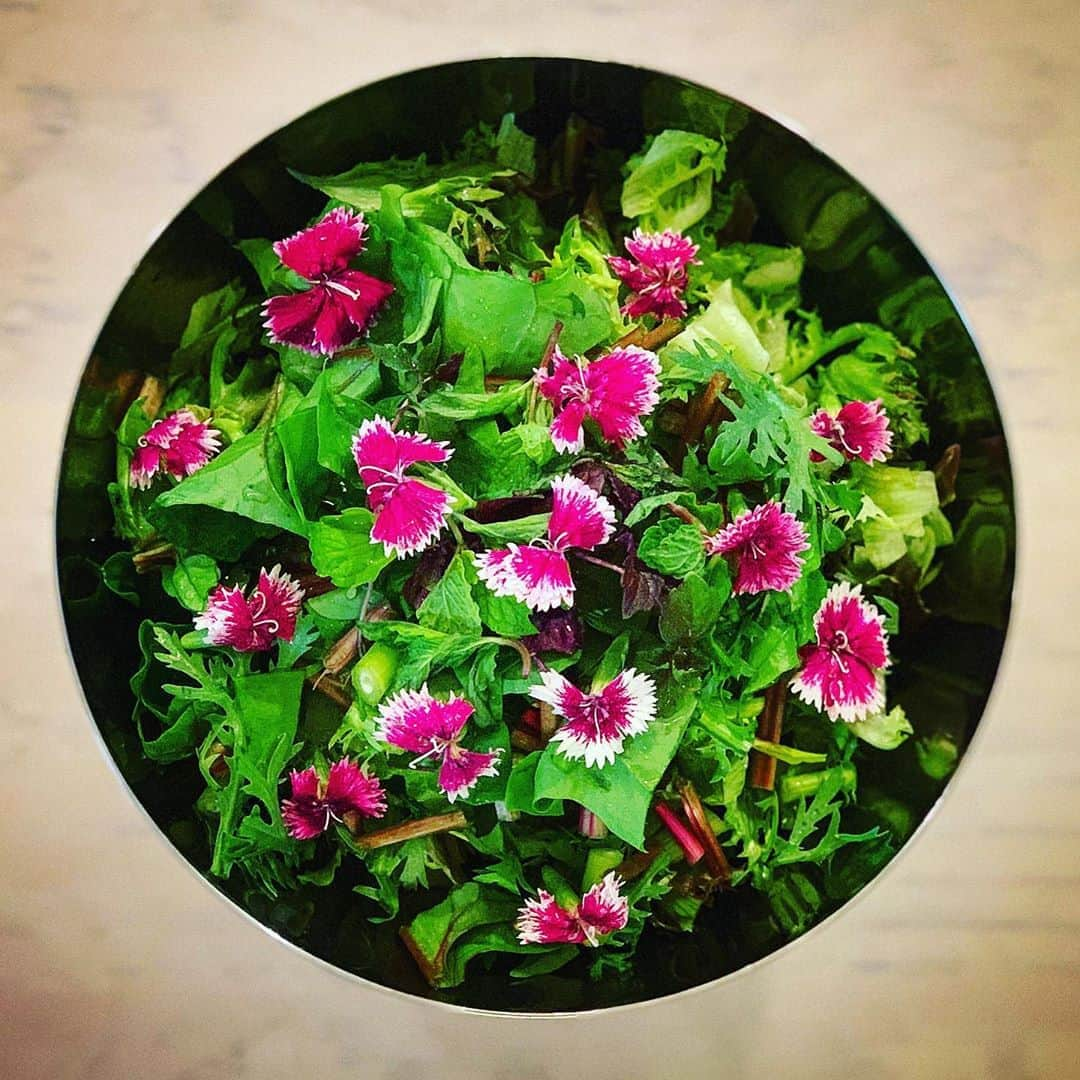 松本まりかさんのインスタグラム写真 - (松本まりかInstagram)「🌼🌸🥗母の日ひとりお花畑サラダ🥗🌸🌼 あたらしいテレビご視聴ありがとうございました＾＾ 私も出演者のみなさんのお話に聞き入ってしまいました。 テレビのこれから。メディアのこれから。エンタメのこれから。どうなっていくのでしょうか。明るい未来を期待して..✨☺️✨ そういえばさっき母からメールで 母「今ナレーションでてる？NHK」 娘「出てるよ」 母「やっぱり！皆にいってる？」 娘「いってるよ」  たまたま見てたTVがNHKで、娘の声か？と思ったんでしょう。そして、皆というのはファンのみなさんのことで。私は宣伝しないことが多くよく注意されていました😂でも最近は出演作、宣伝めちゃめちゃちゃんとやってると思います✨🙈✨直前だったりたまに事後報告だったりしますが..ちゃんとやります頑張ります🙈🤗🙈 母の日に母に今日のこと言ってなかったのはすっかりごめんなさい❤︎ちっちゃい頃から女手ひとつで育ててくれた料理上手なお母さん。私も料理の才能は受け継いでるはずです。まだ磨いてないだけで。。でも開花しつつありますこの自炊生活🥰 とにかく私はお母さんっ子おばあちゃんっ子でした。お母さんもお母さんのお母さんも世界中のお母さんありがとう☺️」5月11日 0時49分 - marika_matsumoto