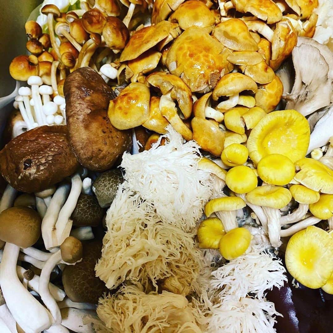 mori_no_tsukueのグルメインスタ