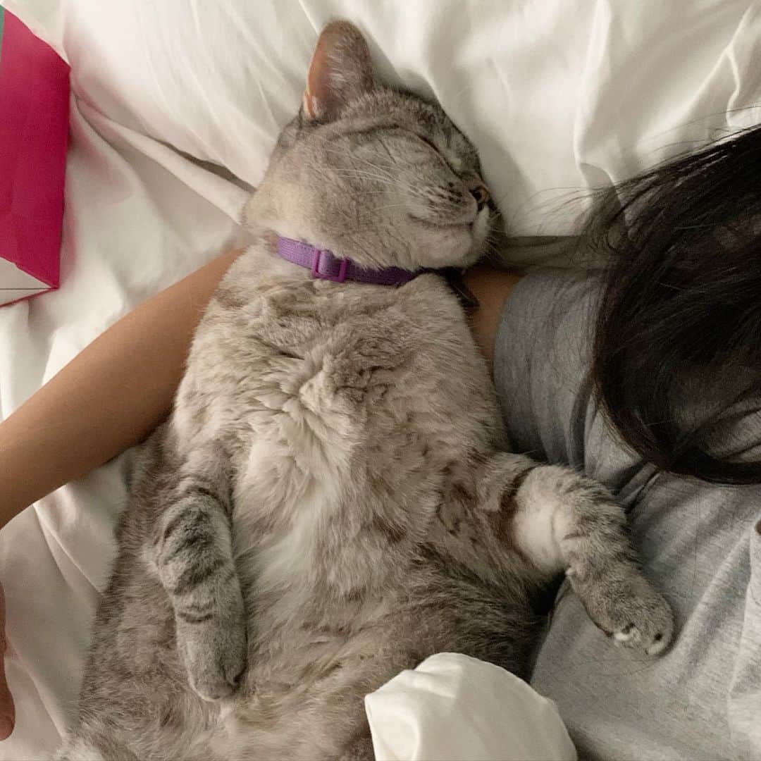 nala_catさんのインスタグラム写真 - (nala_catInstagram)「Happy Mother’s Day ❤️ Spent time in bed with mom this morning! #mothersday」5月11日 1時17分 - nala_cat