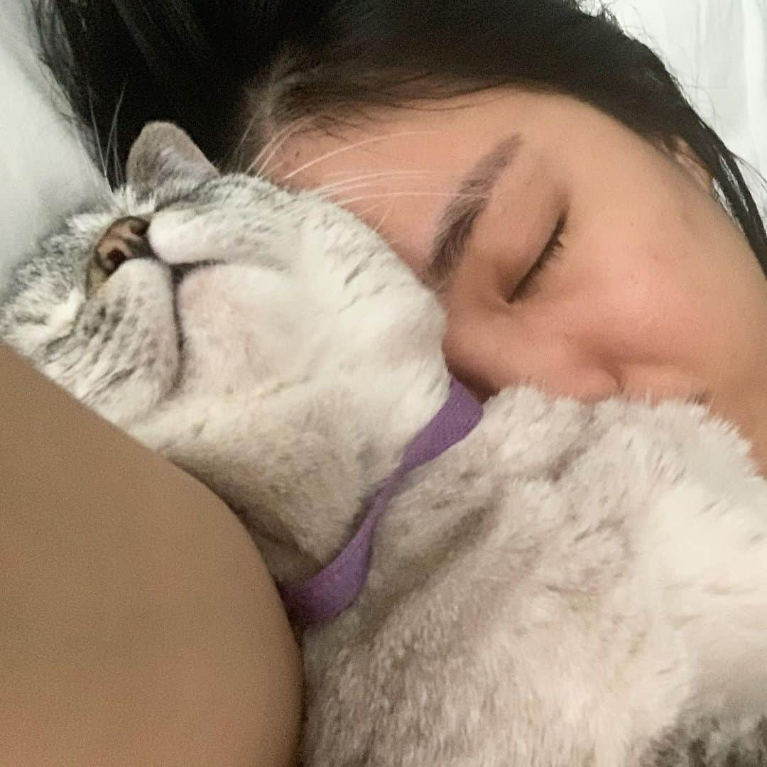 nala_catさんのインスタグラム写真 - (nala_catInstagram)「Happy Mother’s Day ❤️ Spent time in bed with mom this morning! #mothersday」5月11日 1時17分 - nala_cat