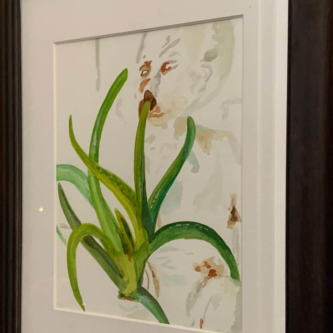 カーキ・キングのインスタグラム：「They say marry someone who can keep surprising you. A few weeks into quarantine my wife dug out an ancient set of watercolors and a tiny brush and just decided to get going. She claims to have never painted before, or hasn’t in 20 years. But here is some recent work, stretching back a mere five weeks to her first painting ever. She paints in between endless requests for snacks, butt wipes, water, iPad, change the show, fix my toy, I spilled this, bad news, worse news, I don’t want to nap, why can’t I see my friends, play with me I’m an astronaut, a baby bear, Elsa, Olaf, super girl, scary dinosaur, why can’t I have another treat, I want to go outside, I never want to go outside, I hate what you cooked, can I have more pasta, watch me dance, come see how many bubbles I have, look what’s on my brother’s face, can we get ice cream when Coronavirus is over, when is Coronavirus over? She finds the time to paint and I scavenge the street for frames. It is wild how good she is, and it’s amazing to witness someone in real time finding a passion or a hobby or a medium-term thrill or all of the above. The parenting is relentless and mostly thankless these days, but my kids are ok. They love each other and they love us. And they love her paintings. And I love her paintings. And I love her. Happy Mother’s Day @jessicatemplinking and thank you for making me a mom.」